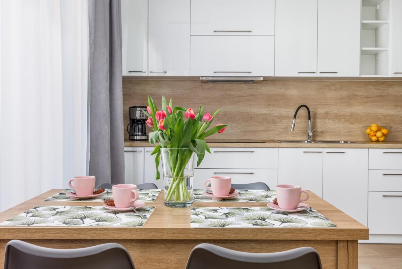 Apartment With Parking 500 M From The Sea By Noclegi Renters Мендзыводзе Экстерьер фото